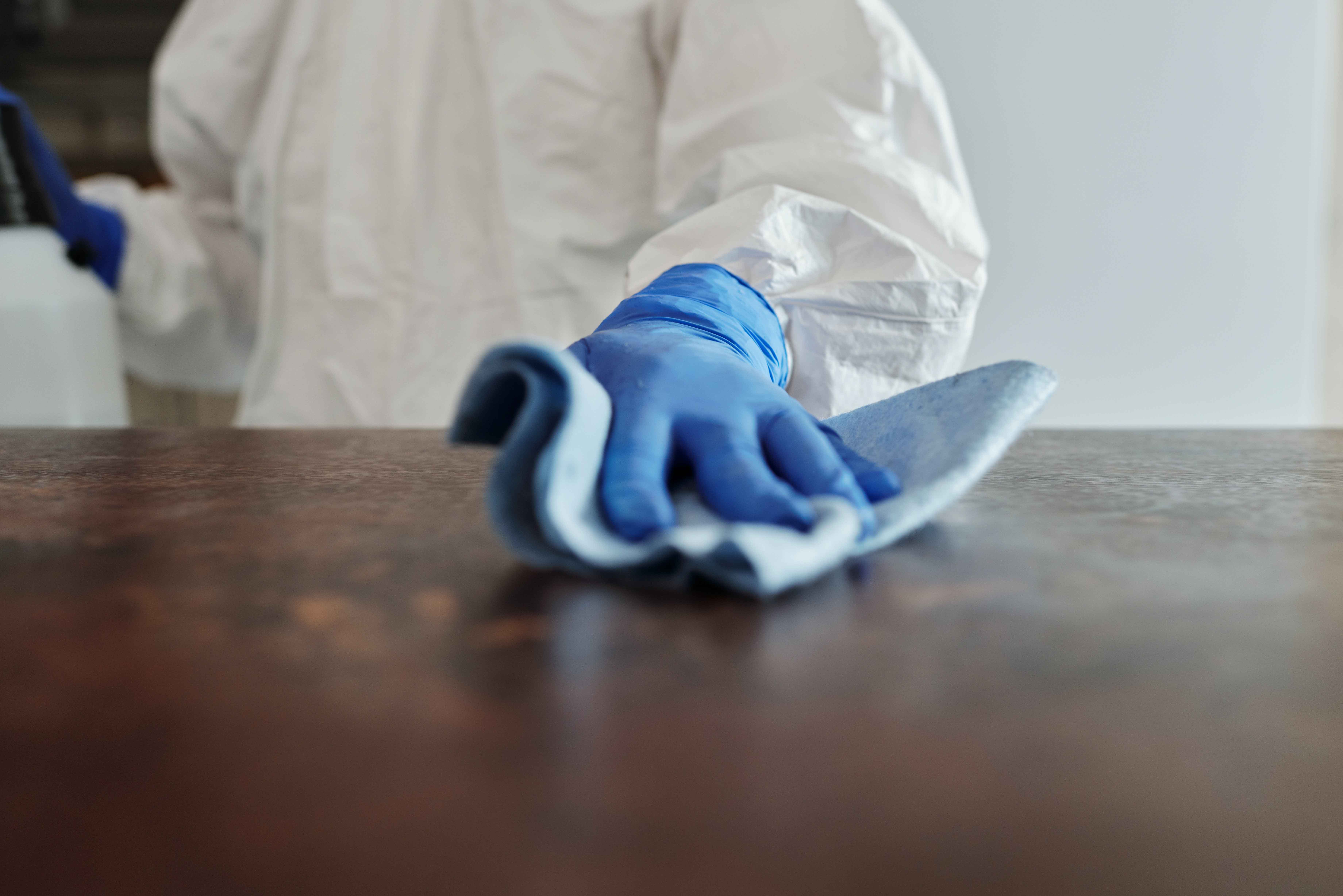 Electrostatic Cleaning